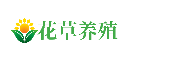 日化用品|保定日化用品|保定伊乐斯普日化用品有限公司
